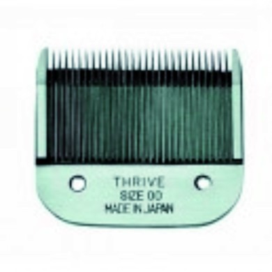 Testina Thrive "000000"
