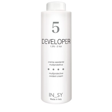 5 Vol. Developer - InSy