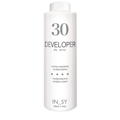 30 Vol. Developer - InSy
